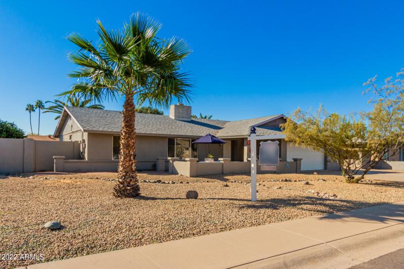 5227 E Gelding front view from the east