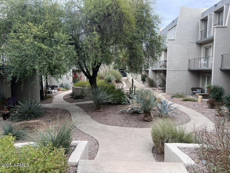 5BB3237D-3222-4788-BF78-6BE40341162A_1_1