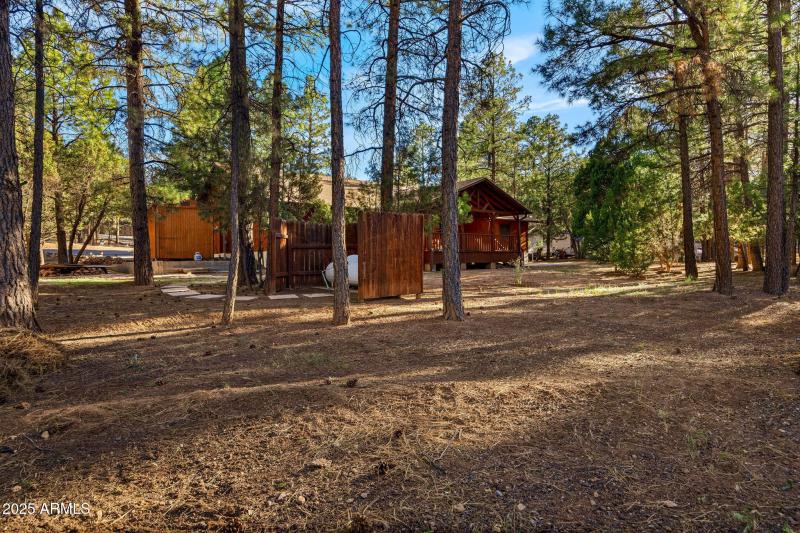 2202ForestParkDr-Heber-AZ-38