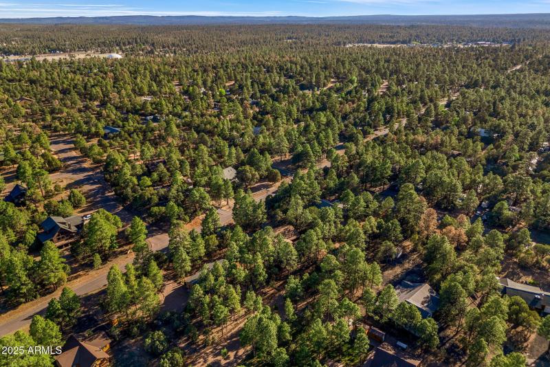 2202ForestParkDr-Heber-AZ-44