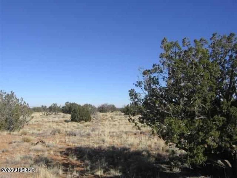 20230619195756763238000000-o