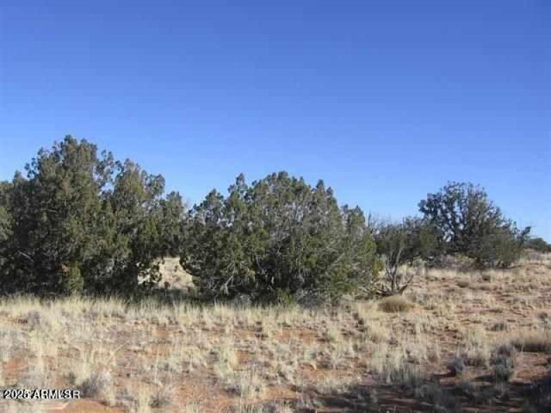 20230619195809735432000000-o