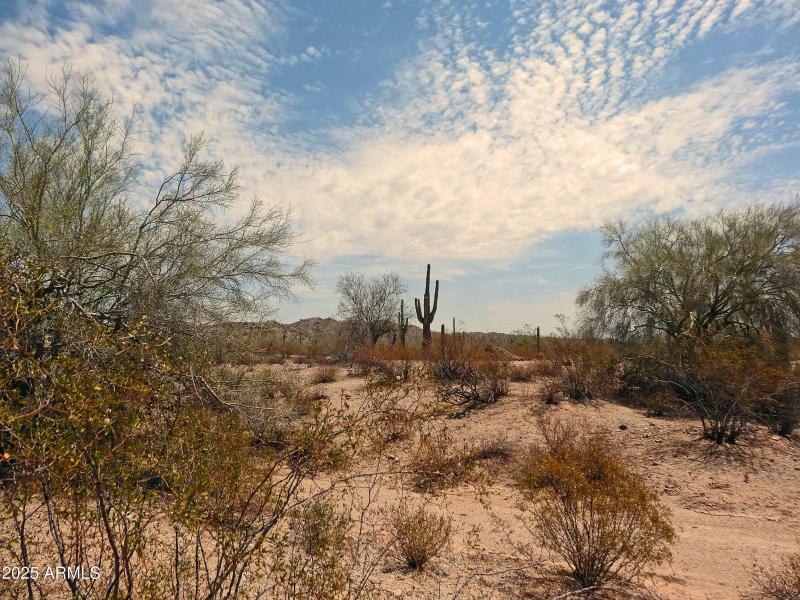 Mountain Views All Around!