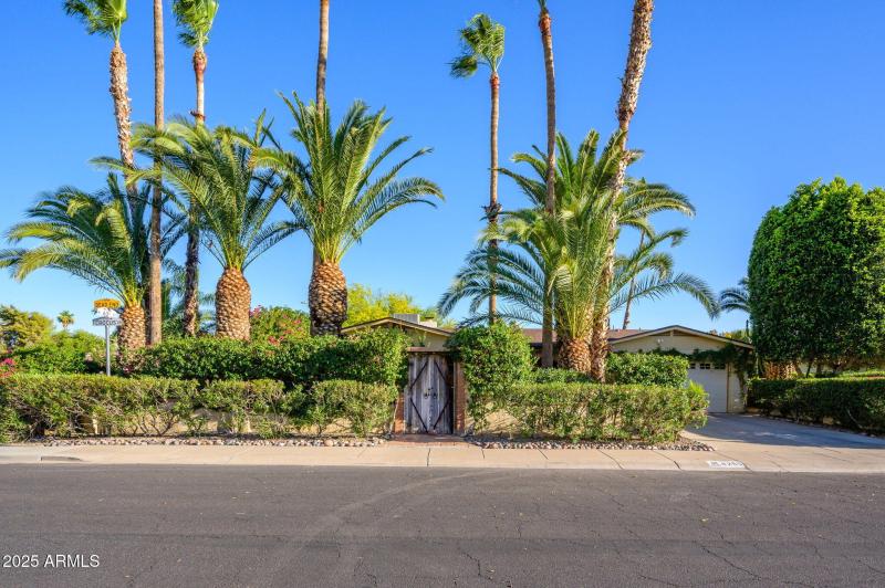 48-web-or-mls-Crocus-52