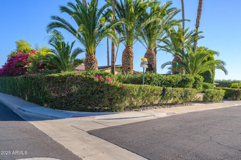 50-web-or-mls-Crocus-54