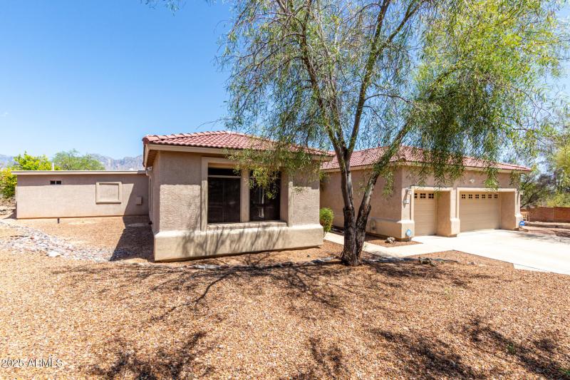 Oversized Drive & Native Trees