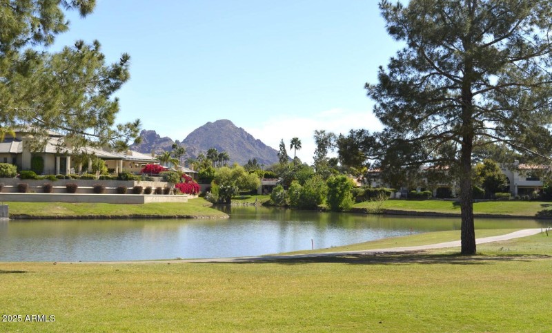 Golf Course Back yard