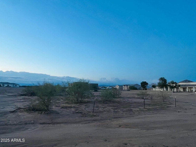 Lot View 6.09.25