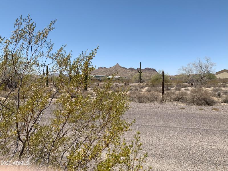 You Know You Want The Country Life!