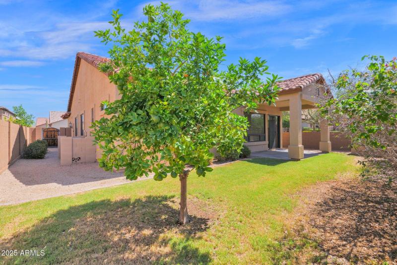 room to build a pool or turf