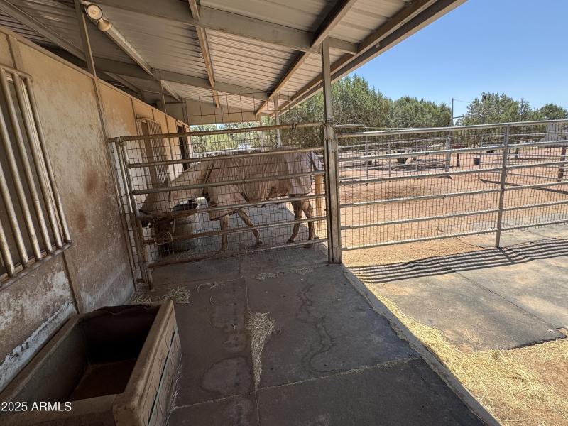 Corral with barn access