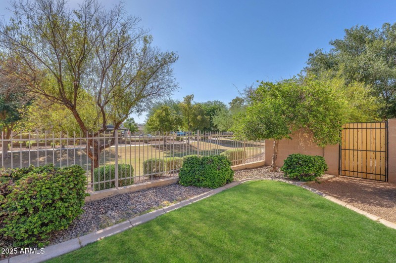 Backyard