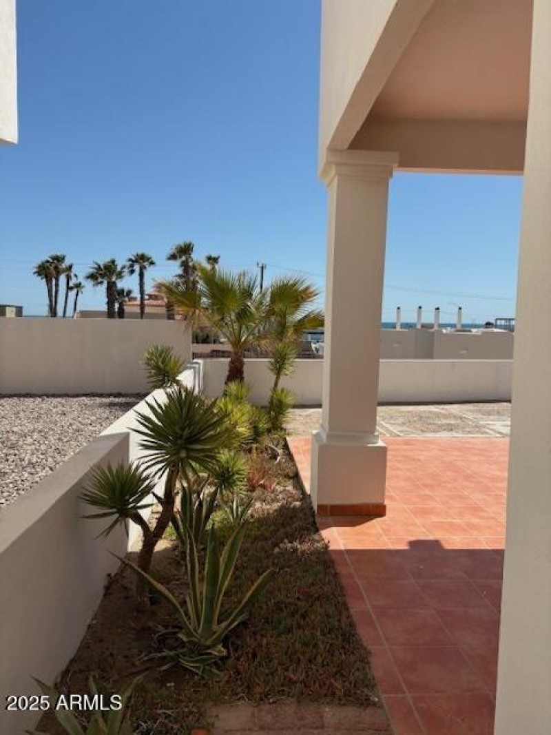 Las Conchas Yucca #2