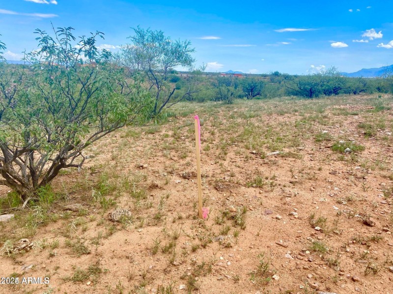 20240819064243748354000000-o