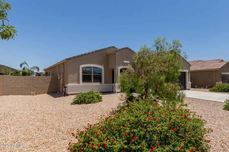 06 - Sunflower 11303