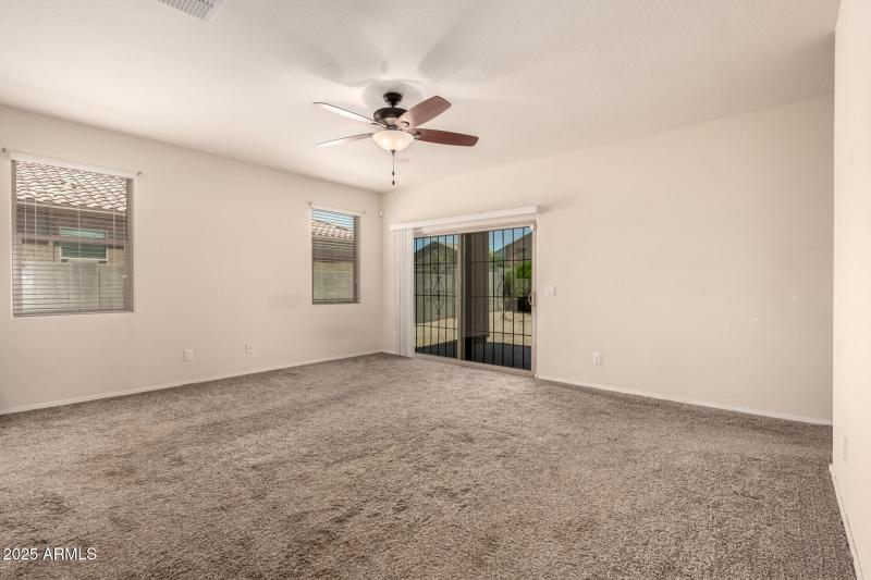 07 - Sunflower 11303