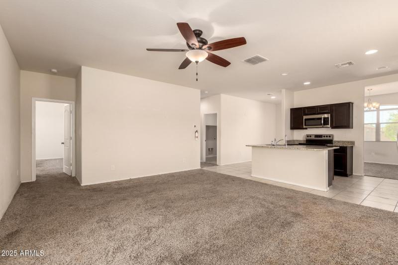 08 - Sunflower 11303