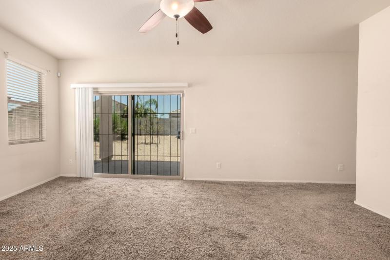 09 - Sunflower 11303