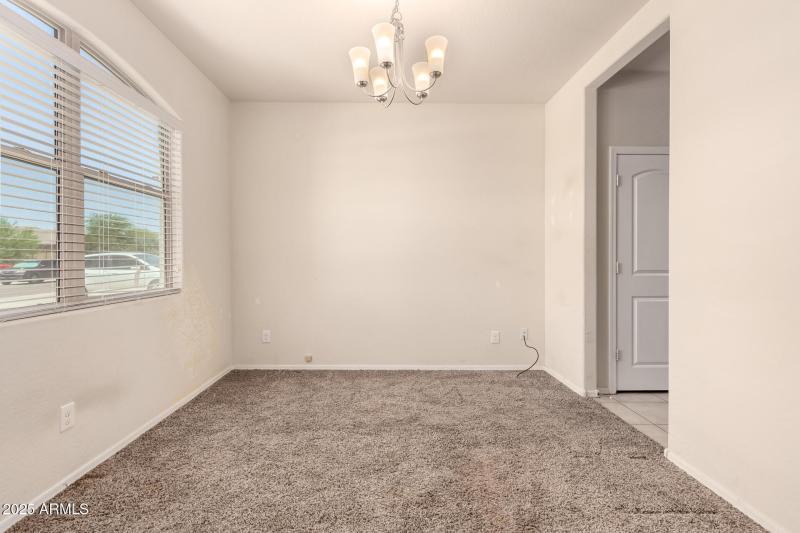 10 - Sunflower 11303