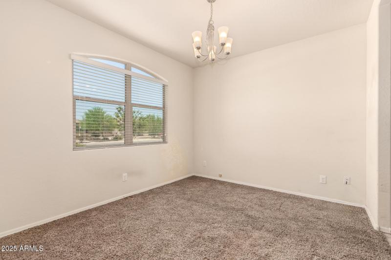 11 - Sunflower 11303