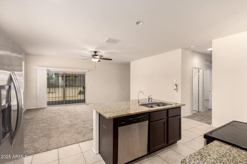 15 - Sunflower 11303