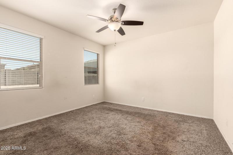 16 - Sunflower 11303