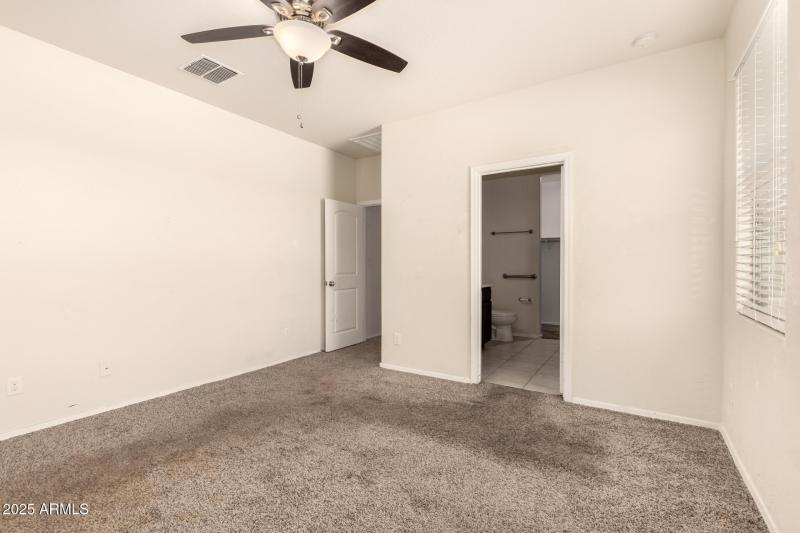 18 - Sunflower 11303