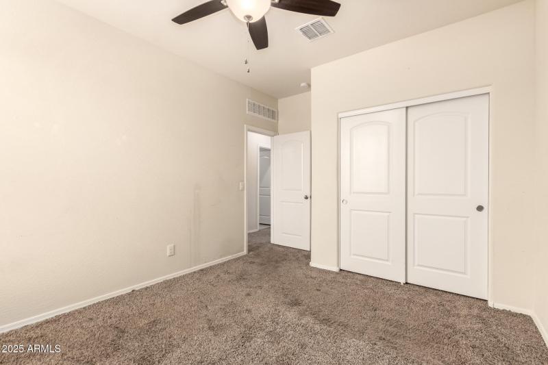 22 - Sunflower 11303