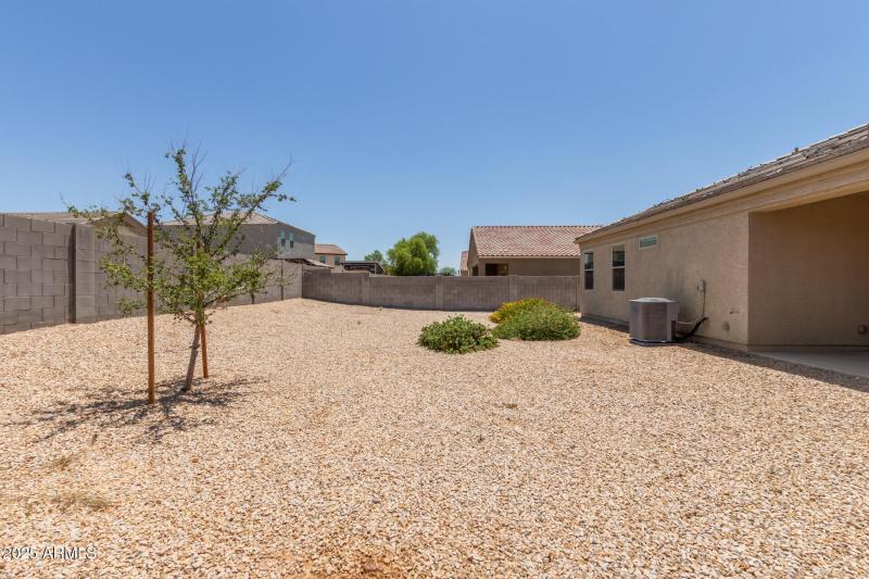 30 - Sunflower 11303