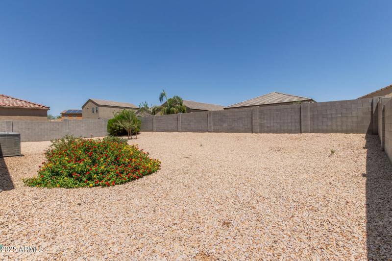 32 - Sunflower 11303