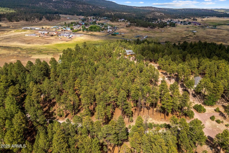 CountyRoad2325-Alpine-AZ-10