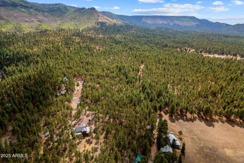 CountyRoad2325-Alpine-AZ-14