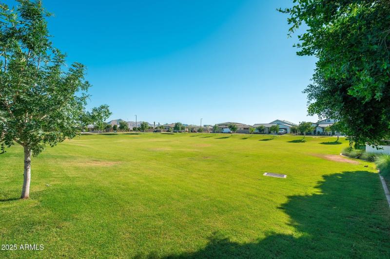 Caleda by Toll Brothers - 07