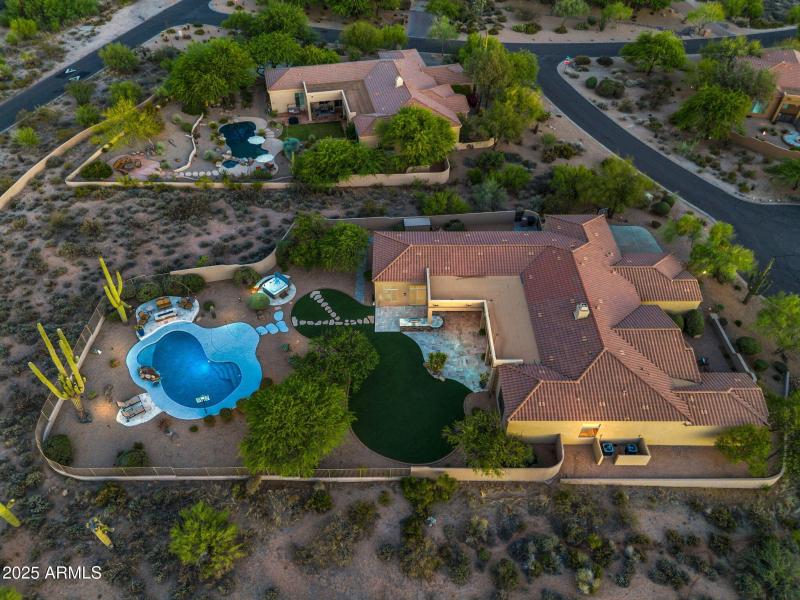 Wow! Look at the saguaros lit up!