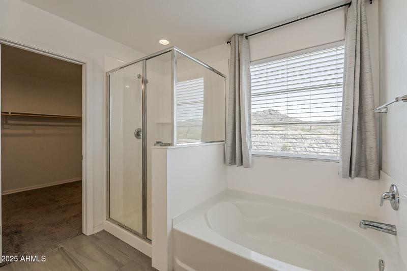 Separate Tub and Shower