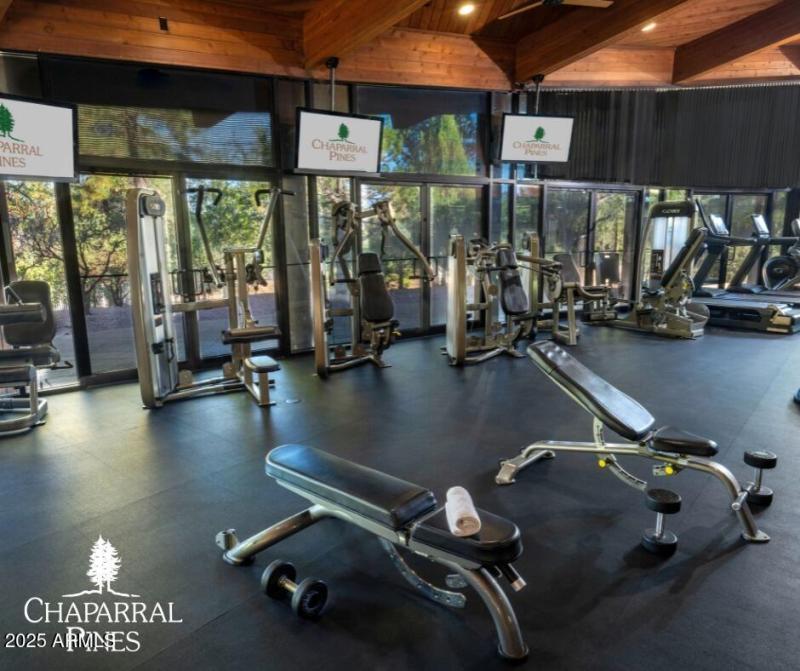 Chaparral pines club3