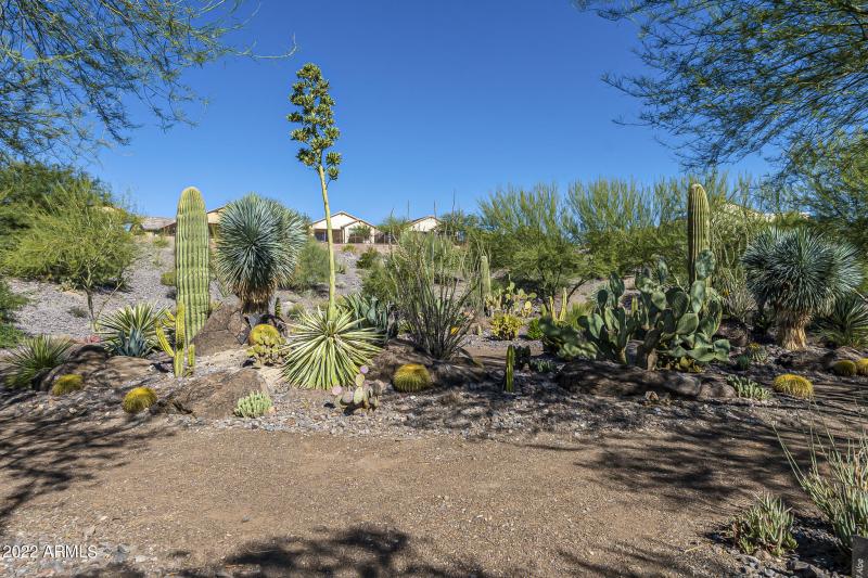 Goldmine - Community-7