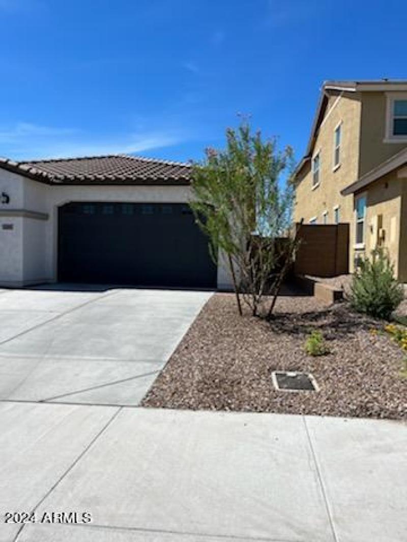 Trees bushes trimmed 4 8.5.22