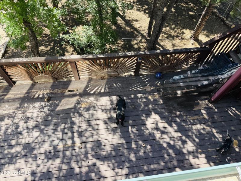 Lower deck needs work