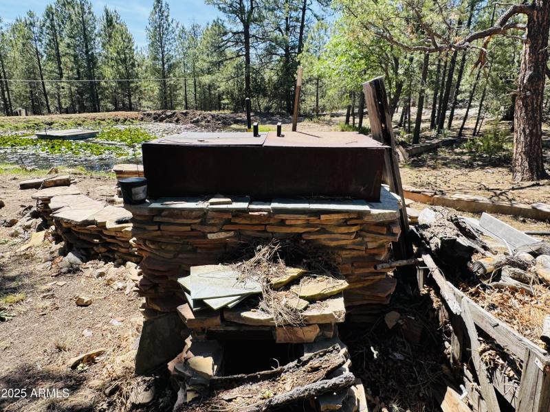 Grill/smoker BBQ area