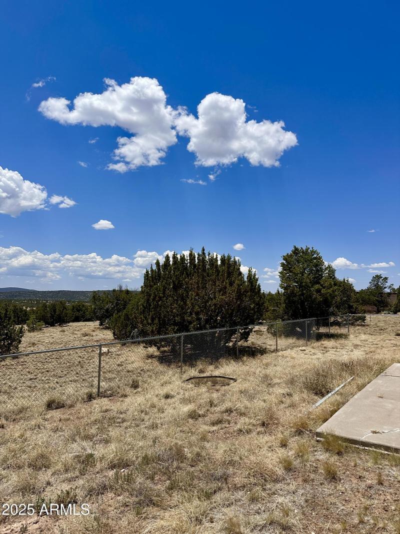 VIEW FROM BACK PATIO
