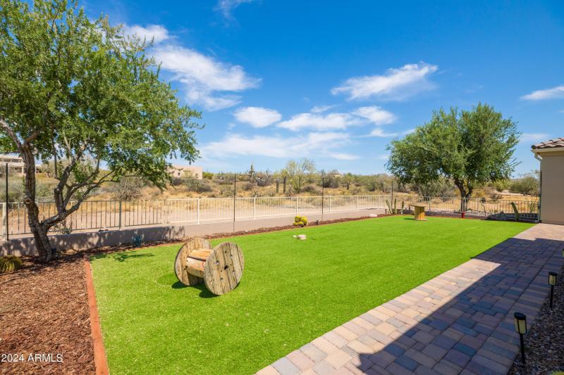 Fenced in yard with snake proof fencing.