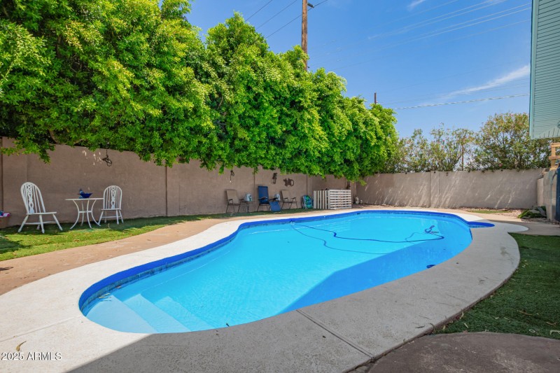 Backyard Pool
