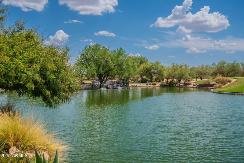 Dine overlooking the pond
