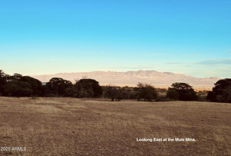 Screenshot 2025-07-05 at 8.35.48AM