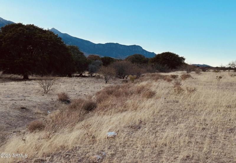 Screenshot 2025-07-05 at 8.34.37AM