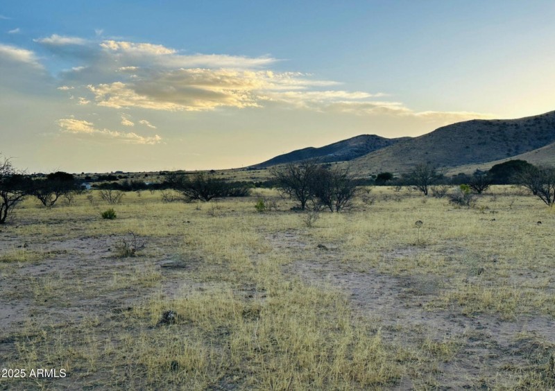 Screenshot 2025-07-05 at 8.33.31AM