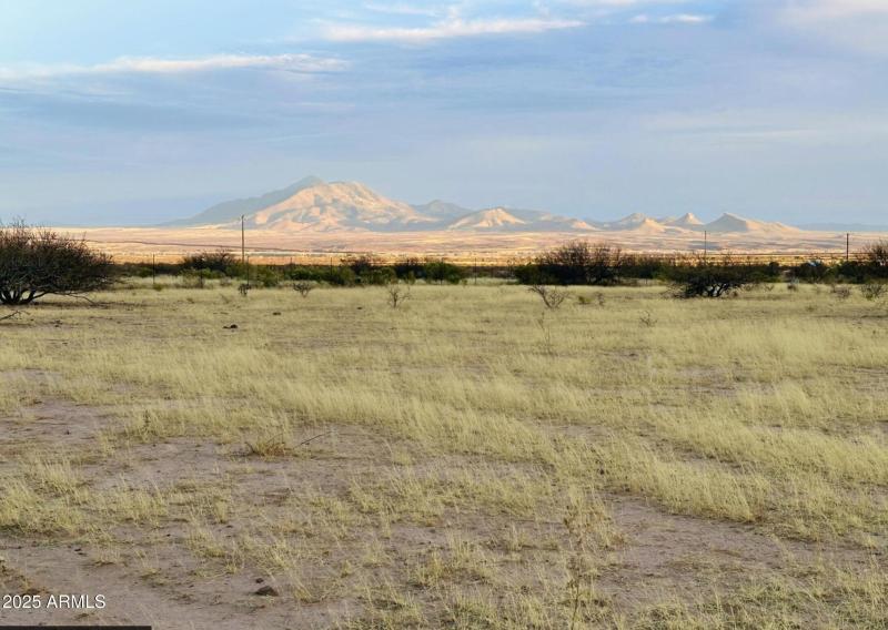 Screenshot 2025-07-05 at 8.33.20AM