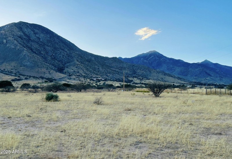 Screenshot 2025-07-05 at 8.33.08AM