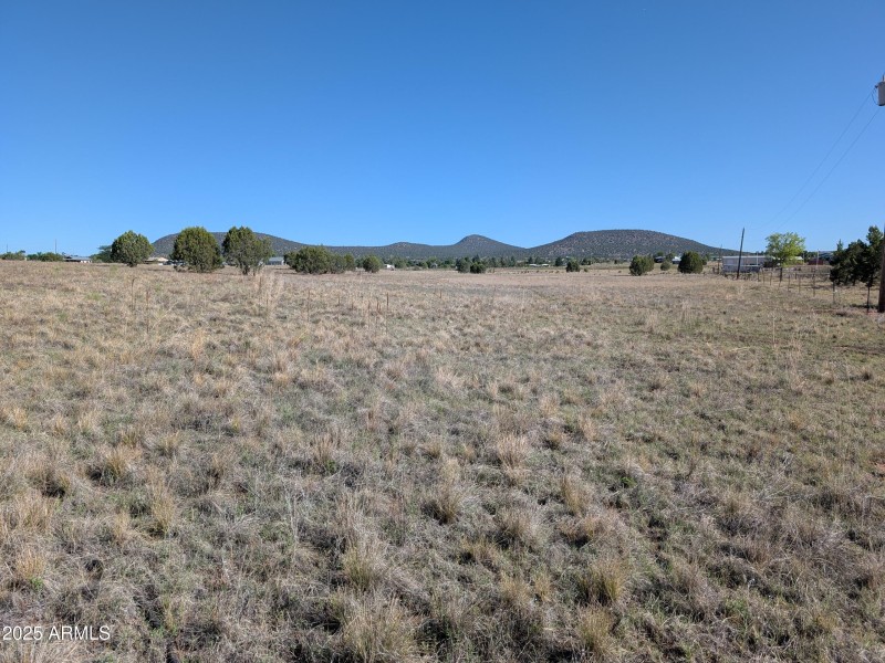 PXL_20250705_152051452